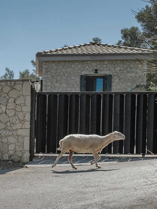 WELCOME! - COSTA EMMELIA | SUMMER RENTAL HOUSE WITH A VIEW - LEFKADA, GREECE